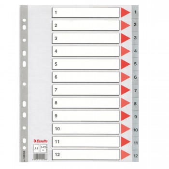 Separatore numerico 1/12 - PPL - A4 - 22,5x29,7 cm - grigio - Esselte