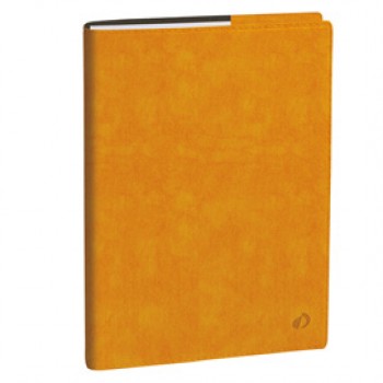 Agenda del Professore 2027 - copertina Roma - 21 x 27 cm - giallo zafferano - Quo Vadis