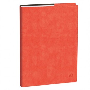 Agenda del Professore 2027 - copertina Roma - 21 x 27 cm - rosa corallo - Quo Vadis