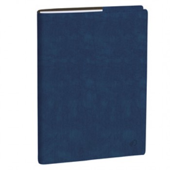 Agenda del Professore 2027 - copertina Roma - 21 x 27 cm - blu ghiaccio - Quo Vadis