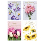 Biglietto Floreale - stampa a caldo - fantasie assortite - Rex Sadoch Biglietto Floreale - stampa a caldo - fantasie assortite - Rex Sadoch