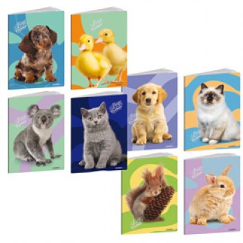 Maxiquaderno Best Friends - A4 - rigo di 3a - 21 fogli - 80 gr - Blasetti