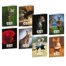 Maxiquaderno Animal Cut - A4 - 1 rigo c/margine - 21 fogli - 80 gr - Blasetti