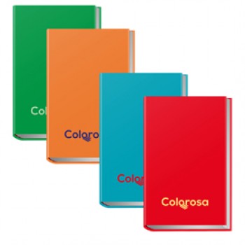 Diario - 12 mesi - copertina rigida antigraffio - colori assortiti - Colorosa Diario - 12 mesi - copertina rigida antigraffio - colori assortiti - Colorosa