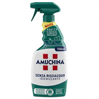 Igienizzante multiuso senza risciacquo - 750 ml - Amuchina Professional Igienizzante multiuso senza risciacquo - 750 ml - Amuchina Professional