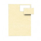 Biglietti da visita - 85 x 54 mm - 165 gr - microperforati - avorio - Decadry - conf. 12 fogli da 10 biglietti