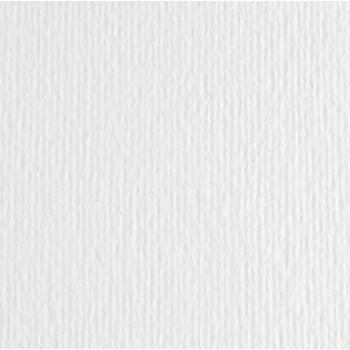 Cartoncino Elle Erre - 70x100 cm - 220 gr - bianco - Fabriano - blister 10 fogli