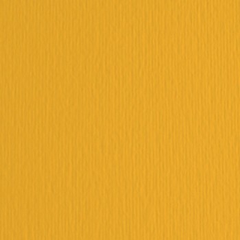 Cartoncino Elle Erre - 70x100cm - 220gr - avana 103 - Fabriano - blister 10 fogli