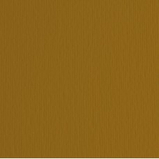 Cartoncino Elle Erre - 70x100cm - 220gr - marrone 106 - Fabriano - blister 10 fogli