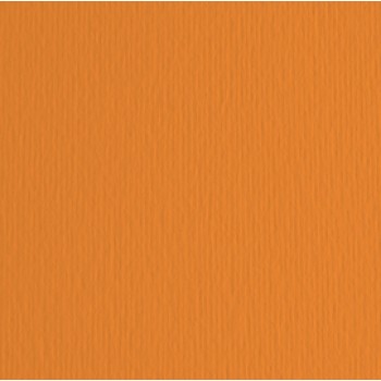 Cartoncino Elle Erre - 70x100cm - 220gr - arancio 108 - Fabriano - blister 10 fogli