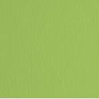 Cartoncino Elle Erre - 70x100cm - 220gr - verde pisello 110 - Fabriano - blister 10 fogli