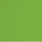 Cartoncino Elle Erre - 70x100cm - 220gr - verde 111 - Fabriano - blister 10 fogli