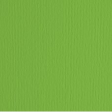 Cartoncino Elle Erre - 70x100cm - 220gr - verde 111 - Fabriano - blister 10 fogli
