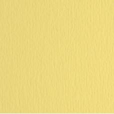 Cartoncino Elle Erre - 70x100cm - 220gr - onice 117 - Fabriano - blister 10 fogli