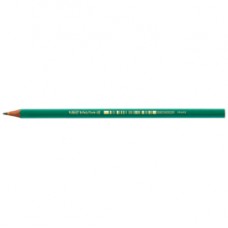 Matita in resina Ecolutions Evolution Graphite 650 - gradazione HB - Bic - conf. 12 pezzi