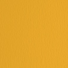 Cartoncino Elle Erre - 50x70cm - 220gr - avana 103 - Fabriano -  blister 20 fogli