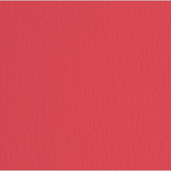 Cartoncino Elle Erre - 50x70cm - 220gr - rosso 109 - Fabriano -  blister 20 fogli