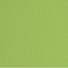 Cartoncino Elle Erre - 50x70cm - 220gr - verde pisello 110 - Fabriano -  blister 20 fogli