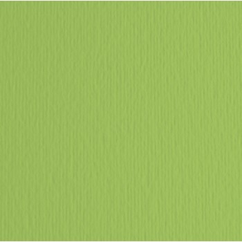 Cartoncino Elle Erre - 50x70cm - 220gr - verde pisello 110 - Fabriano -  blister 20 fogli