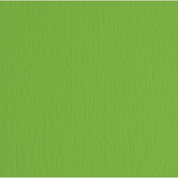 Cartoncino Elle Erre - 50x70cm - 220gr - verde 111 - Fabriano -  blister 20 fogli