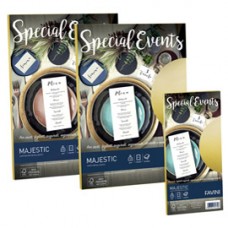 Carta metallizzata Special Events - A4 - 250 gr - bianco - Favini - conf. 10 fogli Carta metallizzata Special Events - A4 - 250 gr - bianco - Favini - conf. 10 fogli