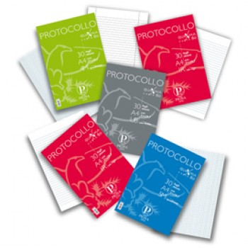 Fogli protocollo Quaxima - A4 - 1 rigo - 80 gr - Pigna - conf. 200 pezzi Fogli protocollo Quaxima - A4 - 1 rigo - 80 gr - Pigna - conf. 200 pezzi