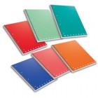 Maxiquaderno Monocromo - A4 - 1 rigo - 70 fogli - 80gr - s/fori - microperforato - spiralato - Pigna