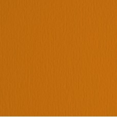 Cartoncino Elle Erre - 50x70cm - 220gr - terra bruciata 119 - Fabriano -  blister 20 fogli