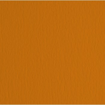 Cartoncino Elle Erre - 50x70cm - 220gr - terra bruciata 119 - Fabriano -  blister 20 fogli
