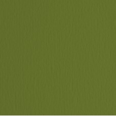 Cartoncino Elle Erre - 70x100cm - 220gr - verdone 128 - Fabriano - blister 10 fogli