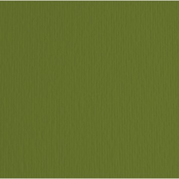 Cartoncino Elle Erre - 70x100cm - 220gr - verdone 128 - Fabriano - blister 10 fogli