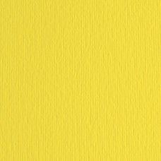 Cartoncino Elle Erre - 70x100cm - 220gr - cedro 125 - Fabriano - blister 10 fogli