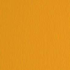 Cartoncino Elle Erre - 70x100cm - 220gr - aragosta 126 - Fabriano - blister 10 fogli