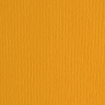 Cartoncino Elle Erre - 70x100cm - 220gr - aragosta 126 - Fabriano - blister 10 fogli