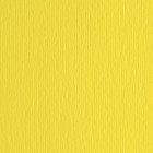 Cartoncino Elle Erre - 50x70cm - 220gr - cedro 25 - Fabriano - blister 20 fogli