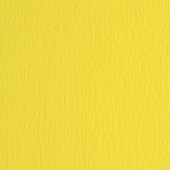 Cartoncino Elle Erre - 50x70cm - 220gr - cedro 25 - Fabriano - blister 20 fogli