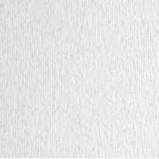 Cartoncino Elle Erre - 50x70cm - 220gr - brina 29 - Fabriano - blister 20 fogli