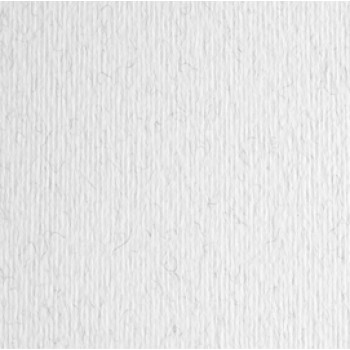 Cartoncino Elle Erre - 70x100cm - 220gr - brina 129 - Fabriano - blister 10 fogli
