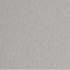 Cartoncino Elle Erre - 70x100cm - 220gr - china 130 - Fabriano - blister 10 fogli