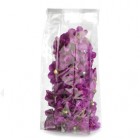 Buste Crystal - con fondo quadro - 10 x 30 + 6 cm - 40 micron - trasparenti - PNP - conf. 100 pezzi