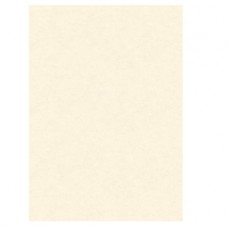 Diplomi in pergamena - stampa offset - A4 - 160 gr - neutro avorio - Kartos - conf. 10 pezzi