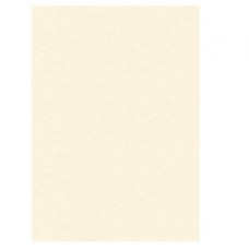 Diplomi in pergamena - stampa offset - A3 - 160 gr - neutro avorio - Kartos - conf. 10 pezzi