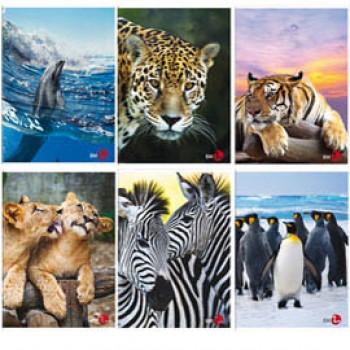 Maxiquaderno Animal fantasia - A4 - 1 rigo c/margine - 40+2 fogli - 80gr - BM