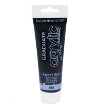 Colore acrilico fine Graduate - 120 ml - grigio payne - Daler Rowney