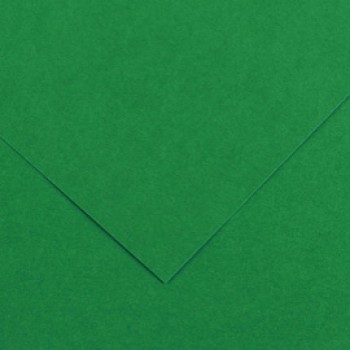 Foglio Colorline - 70x100 cm - 220 gr - verde vivo - Canson
