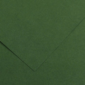 Foglio Colorline - 70x100 cm - 220 gr - verde abete - Canson