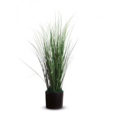 Pianta ornamentale - erba - H 55cm -Alco