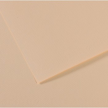 Foglio Mi-Teintes - A4 - 160 gr - conchiglia - Canson
