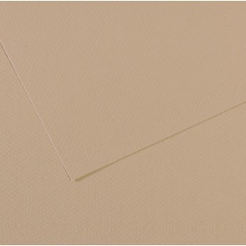 Foglio Mi-Teintes - A4 - 160 gr - grigio trianon - Canson