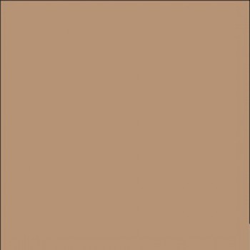 Cartine antigrasso per alimenti - 33 x 32,5 cm - avana - Leone - conf. 500 pezzi